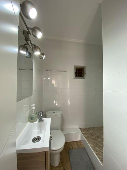 Vlc Center 4 Room Apartment Valensiya Dış mekan fotoğraf